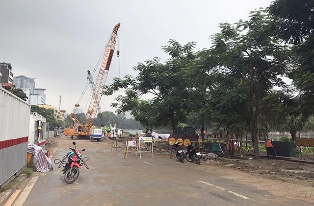 Tin trong nước - Hà Nội di dời, chặt hạ 130 cây xanh trên đường Kim Mã