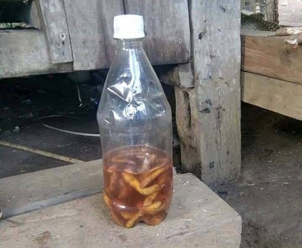 Tin tức - Chai rượu chứa độc tố cây lá ngón cướp mạng sống 2 chú cháu ở Quảng Nam