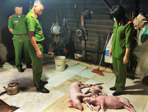 An ninh - Hình sự - Lời khai của người đàn ông mua 3 con lợn chết về quay bán cho khách