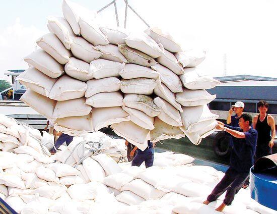 Kinh doanh - Tạm dừng ký hợp đồng xuất khẩu gạo mới