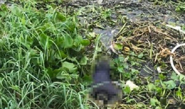 Tin trong nước - Vụ thi thể người phụ nữ nổi trên sông Sài Gòn: Nạn nhân khoảng 40 tuổi, mặc áo khoác xanh đen chấm bi
