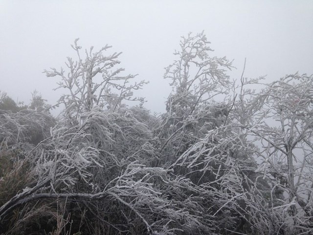 Tin trong nước - Nhiệt độ xuống -2 độ C, Cao Bằng, Lạng Sơn băng giá phủ kín nhiều nơi