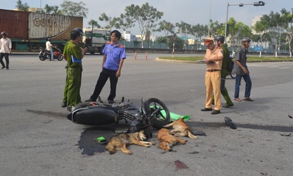 Tin tức - 2 'cẩu tặc' gặp tai nạn bất tỉnh sau khi trộm 4 con chó