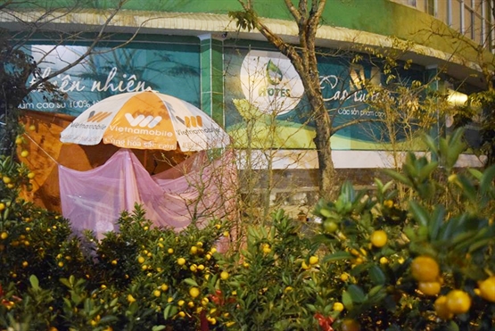 Tin tức - Phóng sự ảnh: Cảnh màn trời chiếu đất trong giá lạnh của người bán hoa tết ở Đà Nẵng (Hình 10).