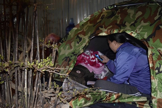 Tin tức - Phóng sự ảnh: Cảnh màn trời chiếu đất trong giá lạnh của người bán hoa tết ở Đà Nẵng (Hình 11).