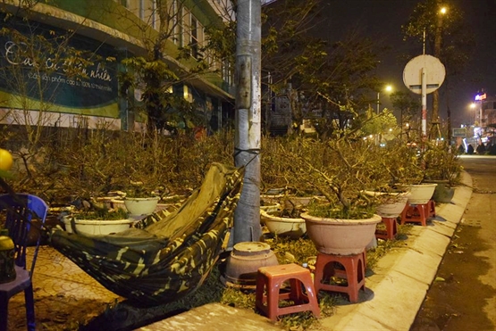 Tin tức - Phóng sự ảnh: Cảnh màn trời chiếu đất trong giá lạnh của người bán hoa tết ở Đà Nẵng (Hình 8).