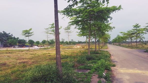 Tin tức - Khu đô thị AIC Mê Linh: “Siêu dự án” sau 10 năm vẫn là… cánh đồng (Hình 2).