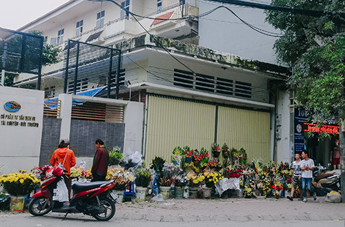 Tin tức - Hà Nội ngập tràn sắc hoa đón chào 20/10 (Hình 11).