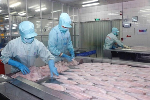 Tin tức - Việt Nam khiếu nại biện pháp chống bán phá giá cá tra, basa của Mỹ lên WTO