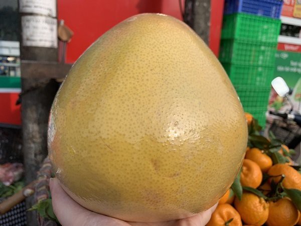 Tin tức - Bưởi Trung Quốc trọng lượng 'khổng lồ', vỏ vàng bóng tràn về chợ Việt