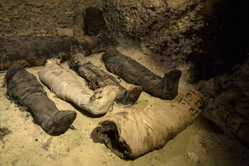 Tin tức - Phát hiện lăng mộ 2.000 năm chứa 50 xác ướp ở Ai Cập đặt trong 4 hầm chứa