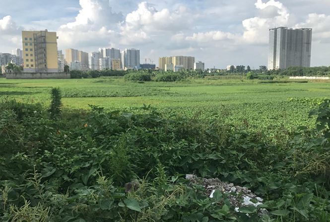 Kinh doanh - 30 dự án ôm “đất vàng” rồi bỏ hoang tại Hà Nội chính thức bị chấm dứt hoạt động