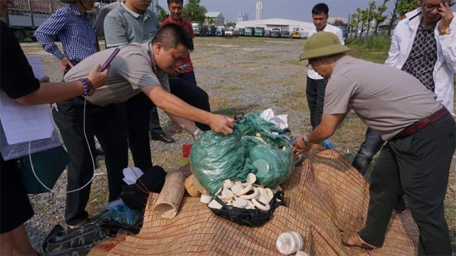 Pháp luật - Hà Nội tiêu hủy 82kg sản phẩm từ ngà voi trong một vụ bắt giữ
