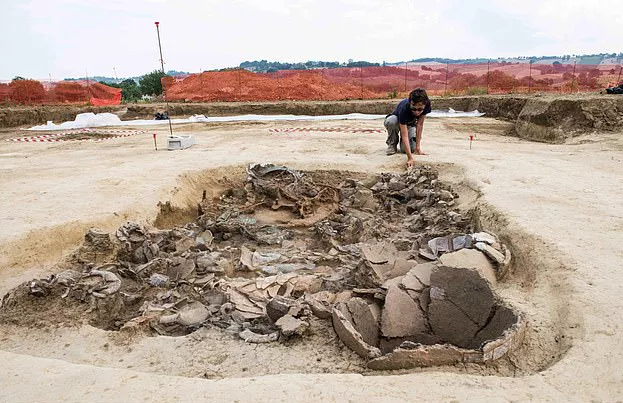 Kinh doanh - Đào móng xây công trình, phát hiện kho báu khổng lồ chứa đồ tùy táng của hoàng tử thời tiền La Mã