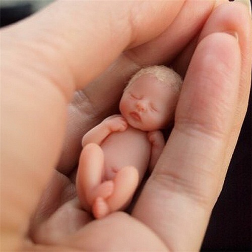 Đời sống - Ngỡ ngàng trước hình ảnh những em bé sơ sinh nhỏ hơn cả bàn tay siêu đáng yêu (Hình 8).