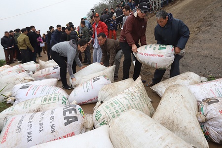 Tin trong nước - Hà Nội: Hàng vạn người phóng sinh 5 tấn cá xuống sông Hồng