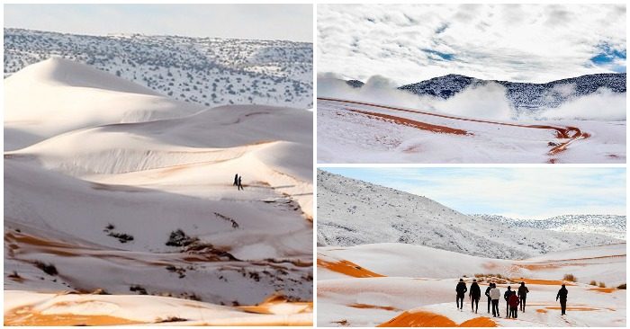 Tin thế giới - Ngỡ ngàng khi tuyết lại phủ trắng sa mạc Sahara