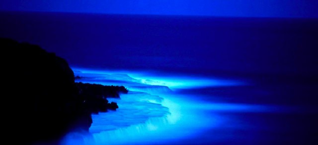 Tin thế giới - Khám phá đại dương bí ẩn khi đêm về (Hình 3).