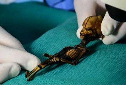 Tin thế giới - Giải mã bí ẩn của ‘bộ xương người ngoài hành tinh’ tìm thấy 15 năm trước
