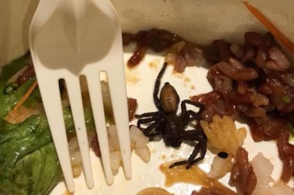 Cộng đồng mạng - Thực khách phát hiện nhện trong đồ ăn và cách xử lý bất ngờ của nhà hàng Singapore