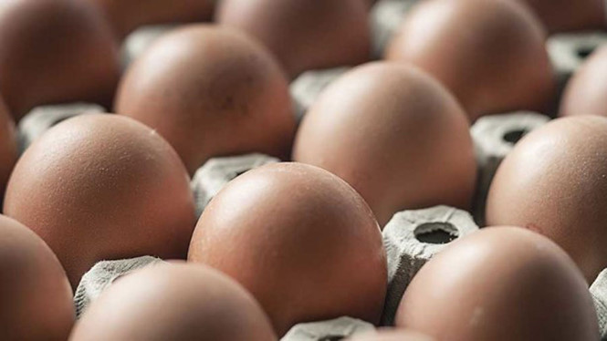 Tin tức - Mỹ thu hồi 200 triệu quả trứng: Những điều cần biết vế nhiễm khuẩn Salmonella