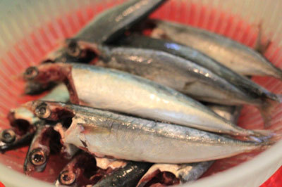 Tin tức - Cách nấu canh cá nục bầu chua dân dã chiêu đãi cả nhà