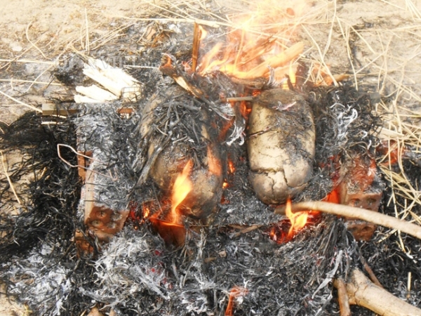 Tin tức - Nướng vịt ăn trưa người nông dân làm 'cháy' mất 88,2 triệu đồng