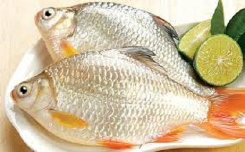 Ăn - Chơi - Mẹo khử mùi tanh của cá từ 4 nguyên liệu sẵn có trong gian bếp