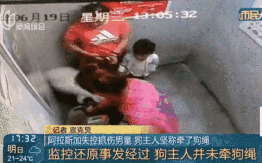 Đời sống - Kinh hoàng khoảnh khắc bé trai 3 tuổi bị chó dữ lao vào cắn xé điên cuồng trong thang máy