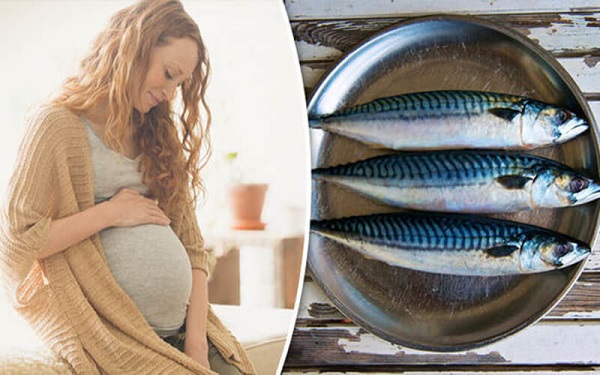 Đời sống - 5 loại cá thèm mấy mẹ bầu cũng không được đụng đũa tránh gây hại cho thai nhi
