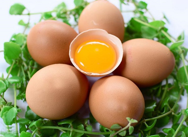 Đời sống - Đừng dại ăn 7 thực phẩm này với trứng, hại ngang dùng thuốc độc