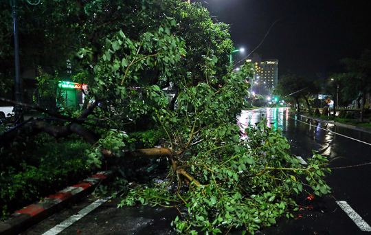 Tin trong nước - Bão số 6 giật cấp 11 đổ bộ gây mưa lớn, hàng chục nghìn hộ dân mất điện