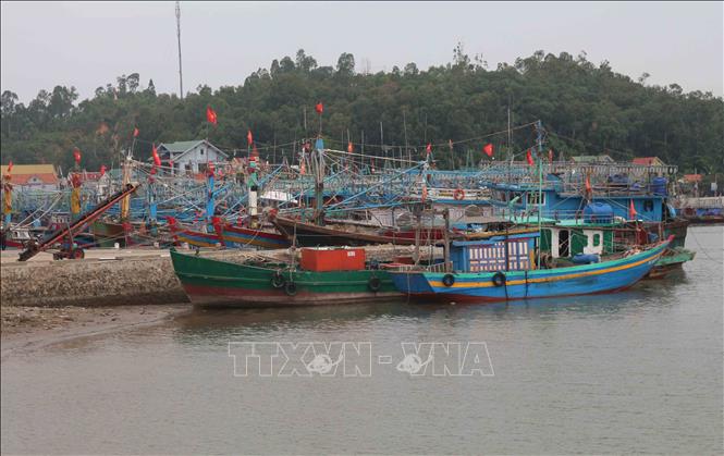 Tin tức - Ứng phó siêu bão giật trên cấp 17 đổ bộ từ Quảng Ninh đến Khánh Hòa trong 24 giờ tới