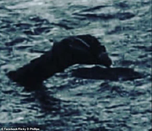 Tin thế giới - Nhà sử gia Anh tung bằng chứng chứng minh quái vật Loch Ness tồn tại