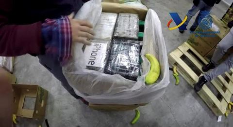 Tin thế giới - Cảnh sát Tây Ban Nha thu giữ 9 tấn ma túy giấu trong các thùng trái cây