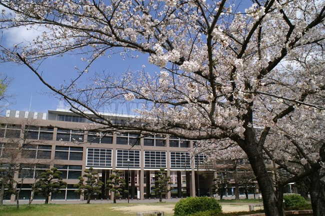 Tin thế giới - Tạp chí Nhật hứng 'gạch đá' vì xếp hạng các trường đại học có nữ sinh 'dễ dãi' nhất