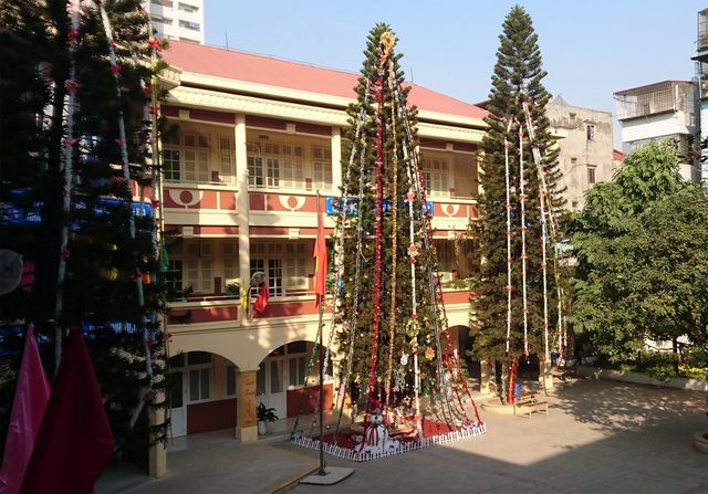 Giáo dục pháp luật - Cận cảnh 3 cây thông Noel 'khổng lồ' được học sinh trang trí ngay trong sân trường cấp 2 ở Hà Nội