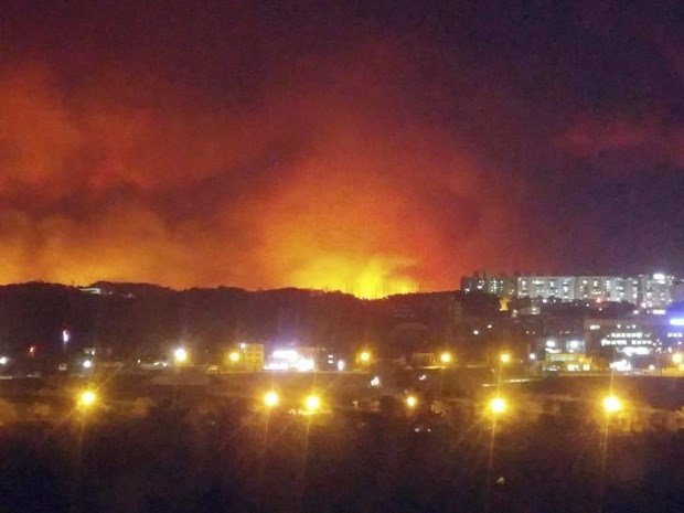 Tin thế giới - Hỏa hoạn tại Hàn Quốc: Cảnh báo được nâng lên mức cao nhất, 10.000 người được huy động dập lửa