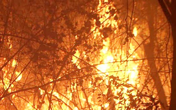 Tin trong nước - Hiện trường vụ cháy rừng kinh hoàng tại Nghệ An, gần 1000 người căng mình dập lửa (Hình 2).