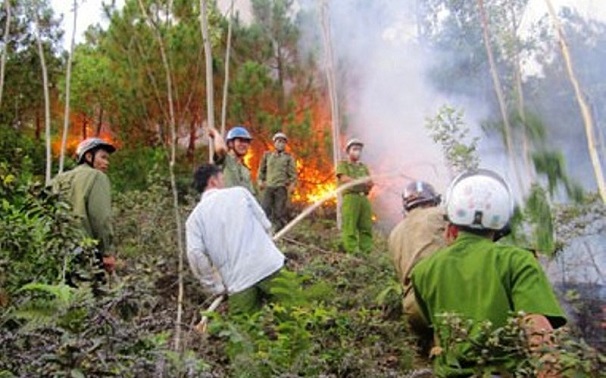 Tin trong nước - Hiện trường vụ cháy rừng kinh hoàng tại Nghệ An, gần 1000 người căng mình dập lửa (Hình 3).