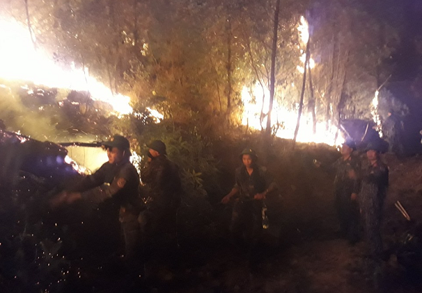 Tin trong nước - Hiện trường vụ cháy rừng kinh hoàng tại Nghệ An, gần 1000 người căng mình dập lửa (Hình 4).