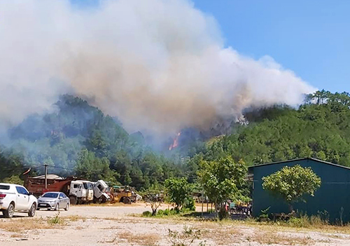 Tin trong nước - Hà Tĩnh: Cháy rừng liên tiếp, hơn 1.000 người tham gia dập lửa, di dời hơn 80 hộ dân (Hình 2).