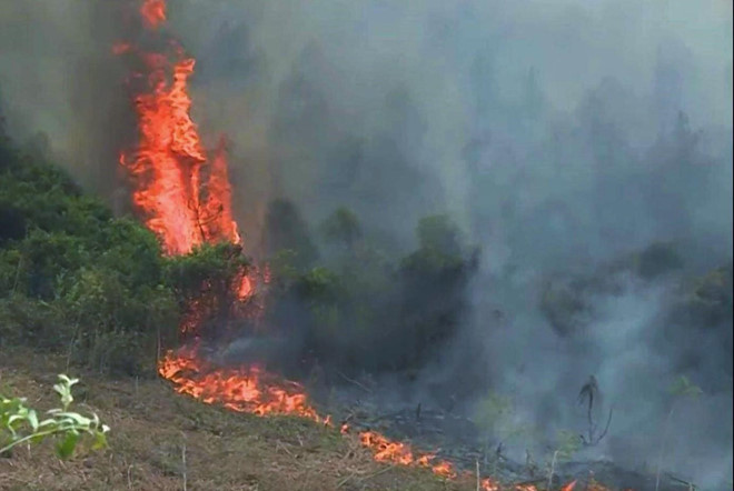 Tin trong nước - Thêm một vụ cháy rừng xảy ra tại Quảng Bình, gần 500 người gồng mình dập lửa