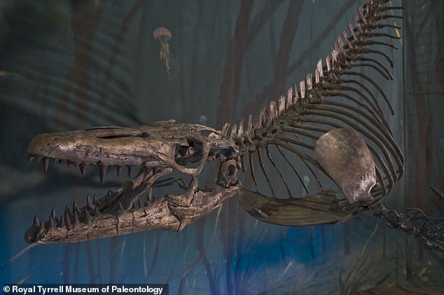 Tin thế giới - Tìm thấy hóa thạch của quái vật đại dương từng tồn tại khoảng 70 triệu năm trước (Hình 3).