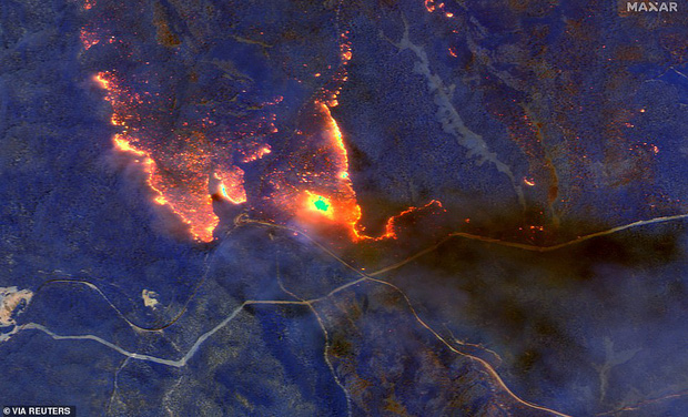 Tin thế giới - Những hình ảnh khiến người xem rớt nước mắt trong đại thảm họa cháy rừng ở Australia (Hình 2).