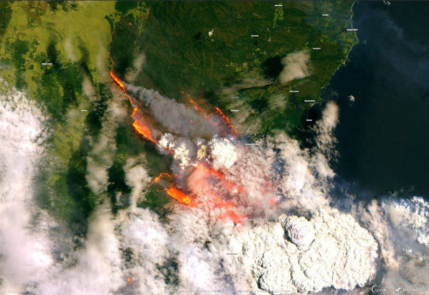 Tin thế giới - Những hình ảnh khiến người xem rớt nước mắt trong đại thảm họa cháy rừng ở Australia