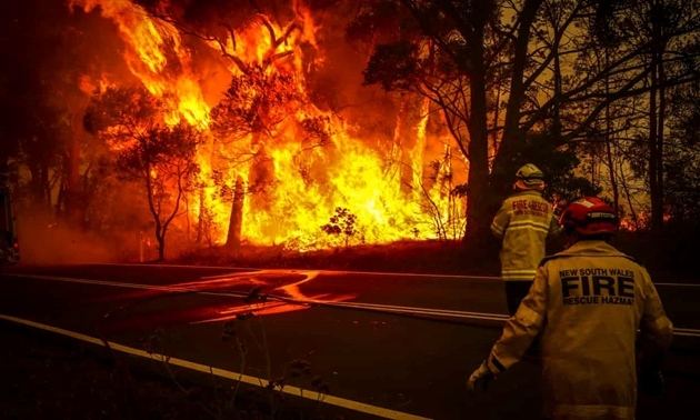 Tin thế giới - Những hình ảnh khiến người xem rớt nước mắt trong đại thảm họa cháy rừng ở Australia (Hình 9).
