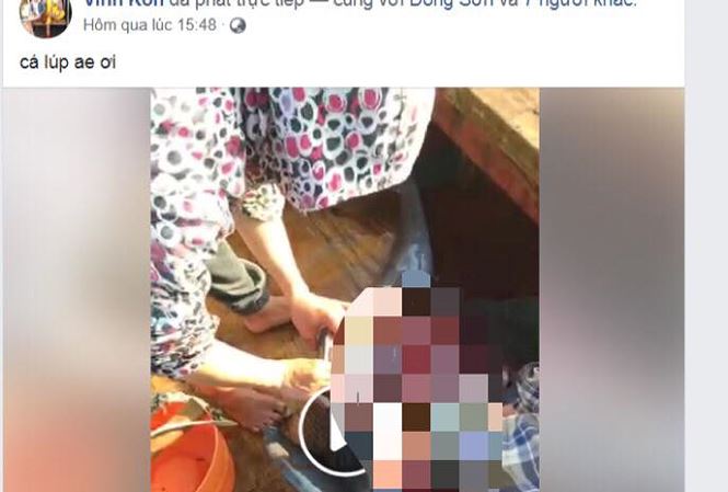 Tin tức - Truy tìm các đối tượng Livestream cảnh giết cá heo để 'khoe' trên Facebook