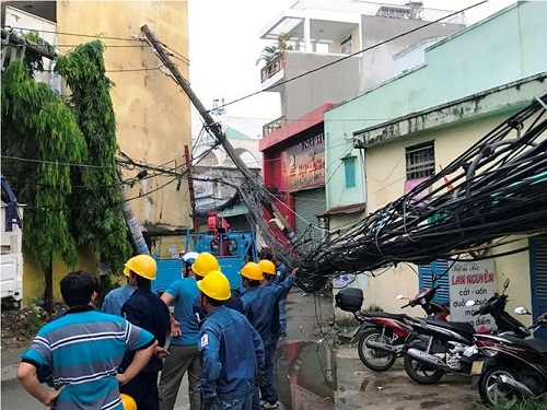 Tin tức - Gió lốc mạnh quét qua Sài Gòn, hàng loạt cây to gãy đổ (Hình 4).