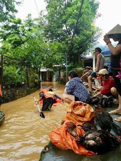 Tin tức - Khung cảnh tan hoang trong mưa lũ ở Hà Giang (Hình 2).